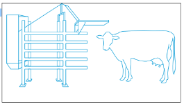 Graphical user interface

Description automatically generated